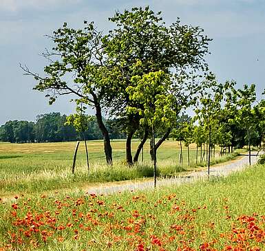 Elbe-Elster-Land