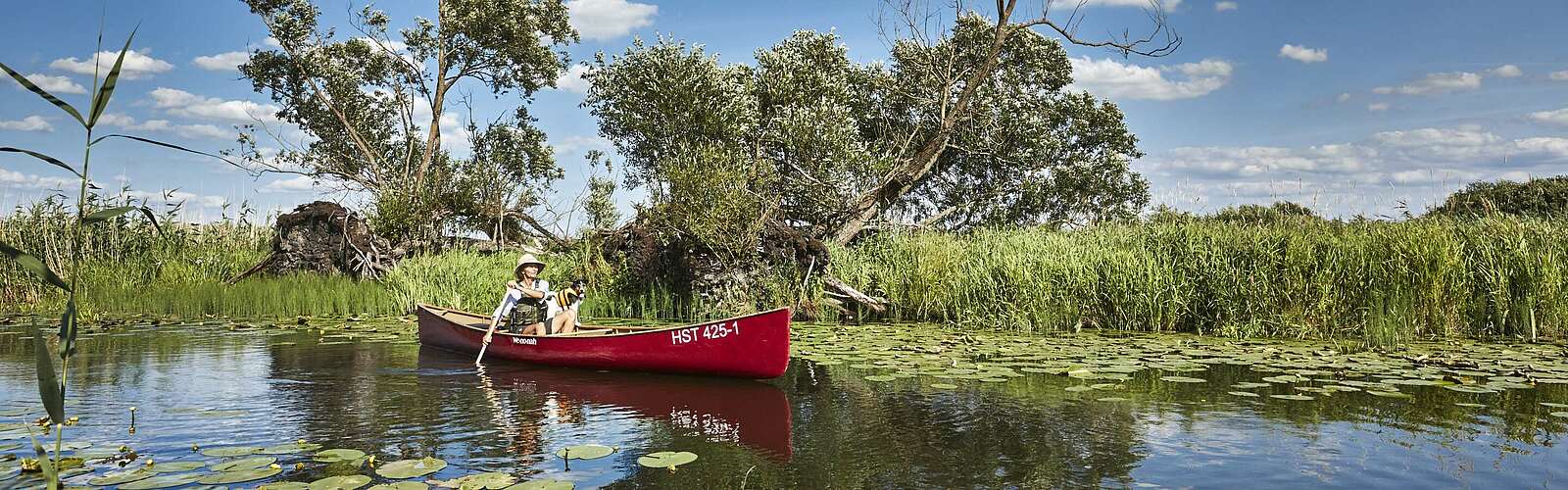 Kanufahrer im Nationalpark Unteres Odertal,
        
    

        Picture: TMB-Fotoarchiv/Michael Handelmann