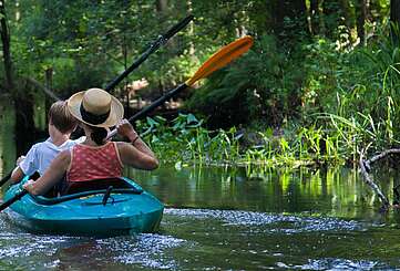 Spreewald