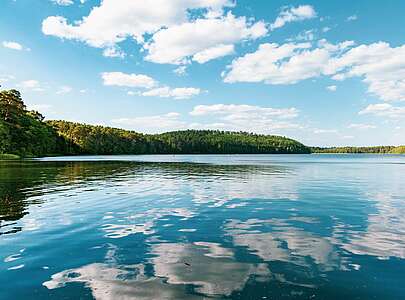 Blick auf den Springsee