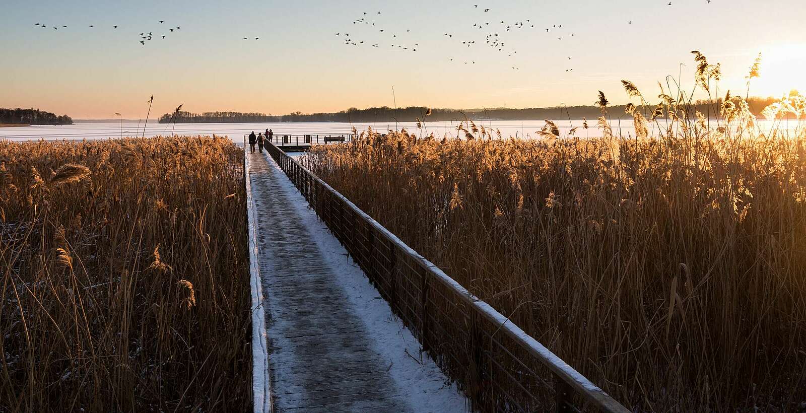 Winter am Scharmützelsee,
        
    

        Picture: TMB-Fotoarchiv/Yorck Maecke