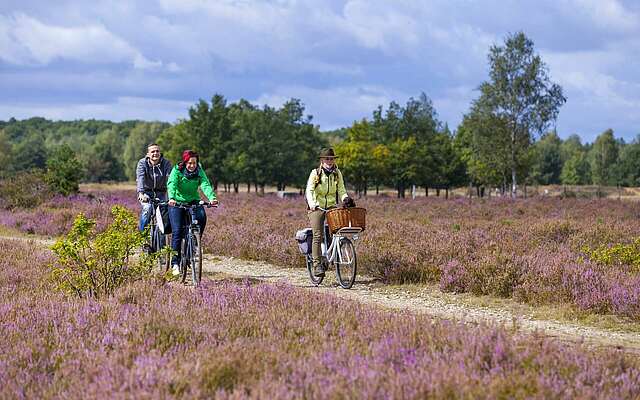 Radler in der Niederlausitzer Heide