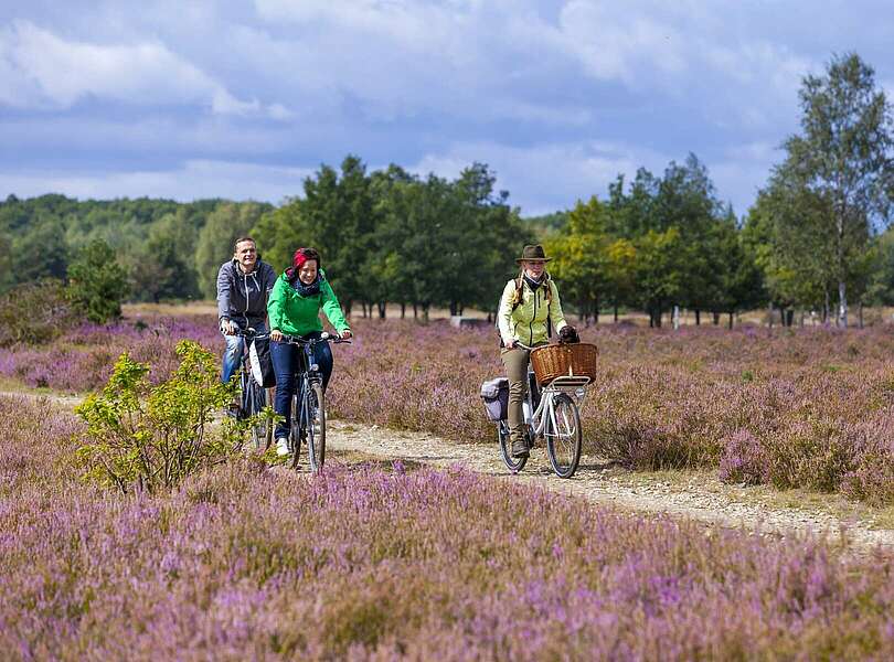 Radler in der Niederlausitzer Heide