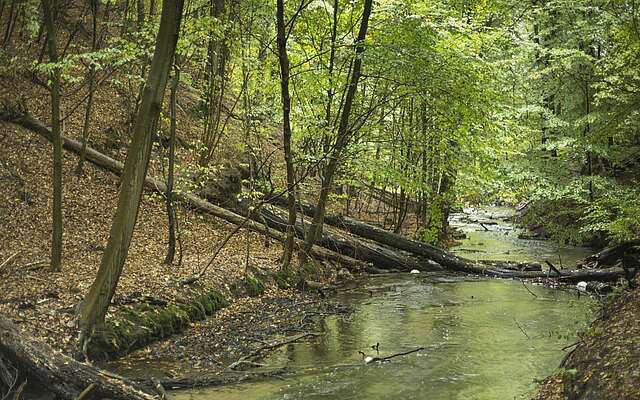 Naturpark Barnim