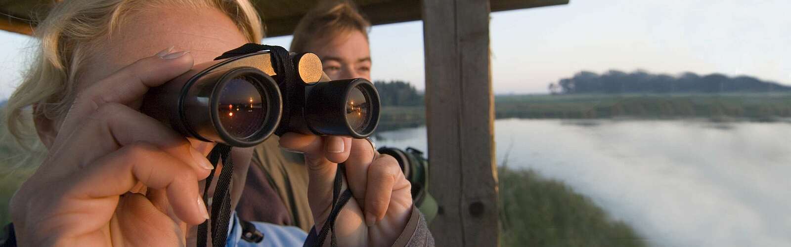 Naturbeobachtung mit dem Fernglas,
        
    

        Picture: TMB-Fotoarchiv/Wolfgang Ehn