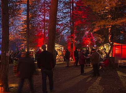 Waldweihnacht in Eberswalde