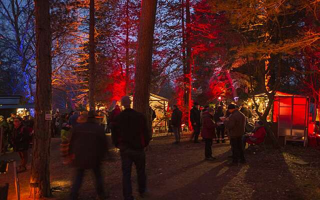Waldweihnacht in Eberswalde