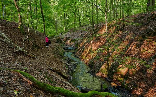 Wandern am Binenbach an der Boltenmühle