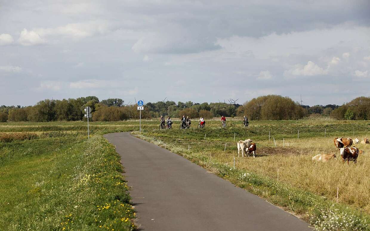 Havelradweg bei Ketzin