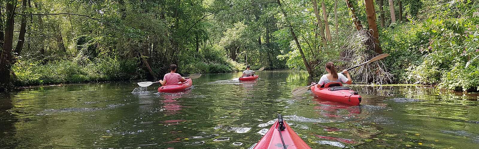 Mit dem Kajak unterwegs im Spreewald,
        
    

        Picture: TMB-Fotoarchiv/Katrin Schreinemachers