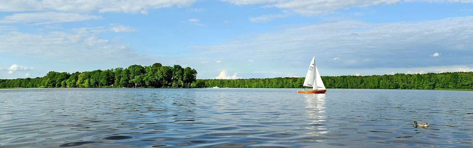 Segeln im Dahme-Seenland,
        
    

        Picture: TMB-Fotoarchiv/Christin Drühl