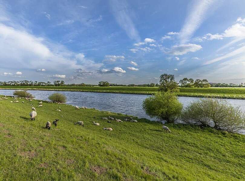 An der Elbe bei Rühstädt