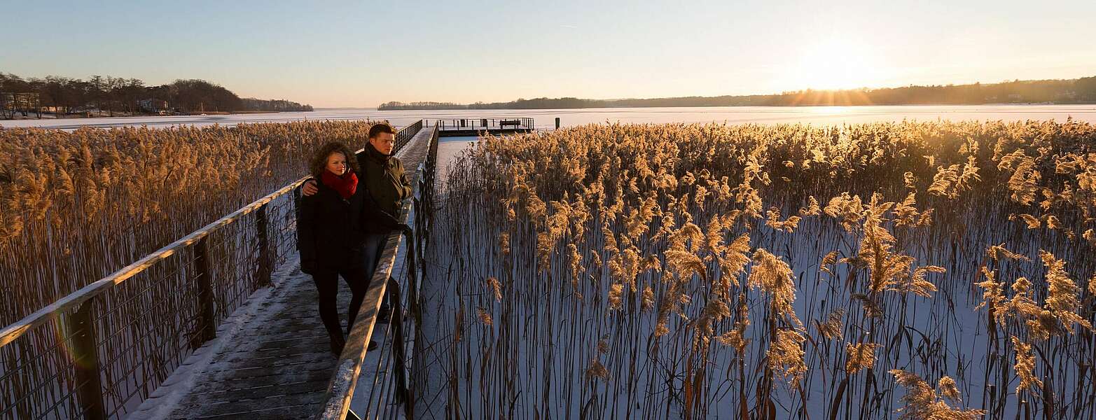 Winter am Scharmützelsee,
        
    

        Picture: TMB-Fotoarchiv/Yorck Maecke