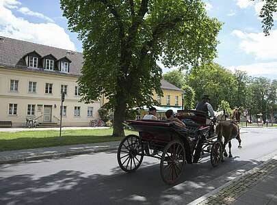 Kulturtour Rheinsberg, Pferdekutsche