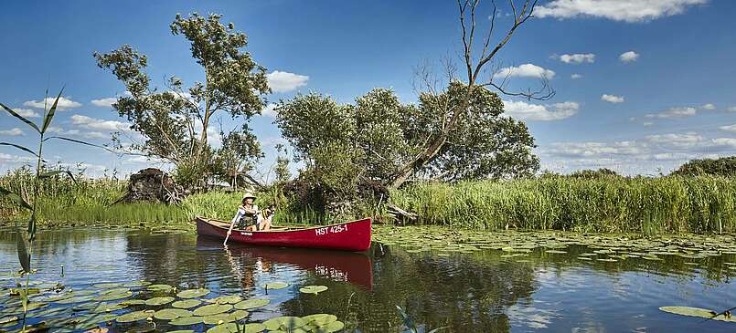 Discover the world of water