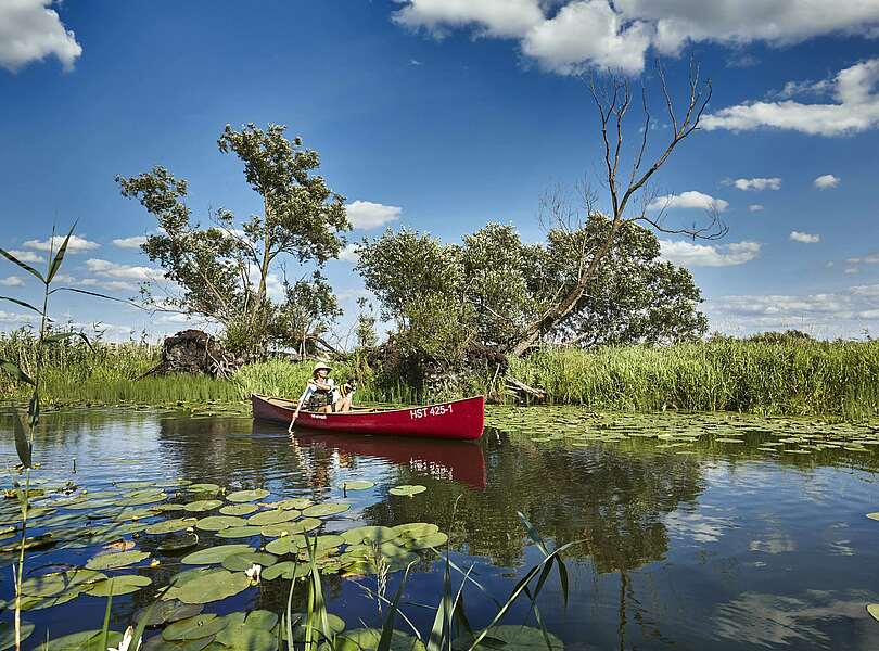 Kanu im Nationalpark Unteres Odertal