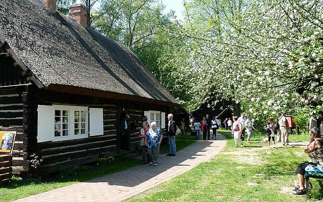 Frühling im Freilandmuseum Lehde