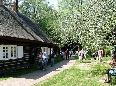 Frühling im Freilandmuseum Lehde