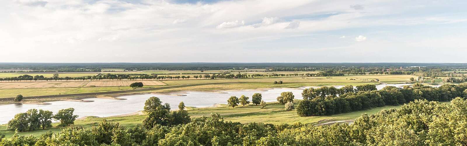 Elbtalaue bei Lenzen,
        
    

        Picture: TMB-Fotoarchiv/Dieter Damschen