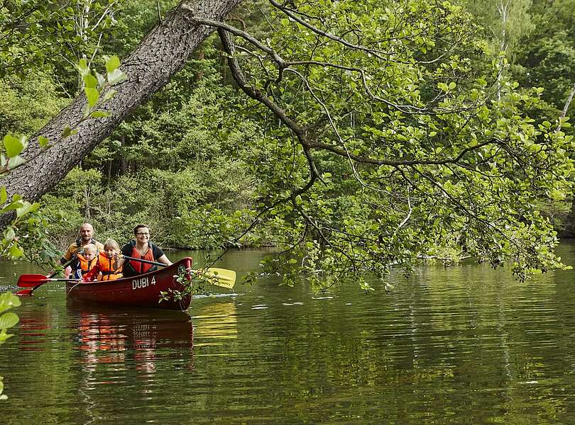 Familien-Kanutour im Naturpark Dahme-Heideseen