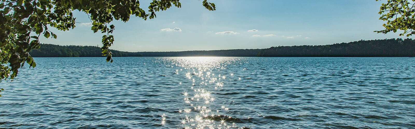 Stechlinsee,
        
    

        Picture: TMB-Fotoarchiv/Steffen Lehmann