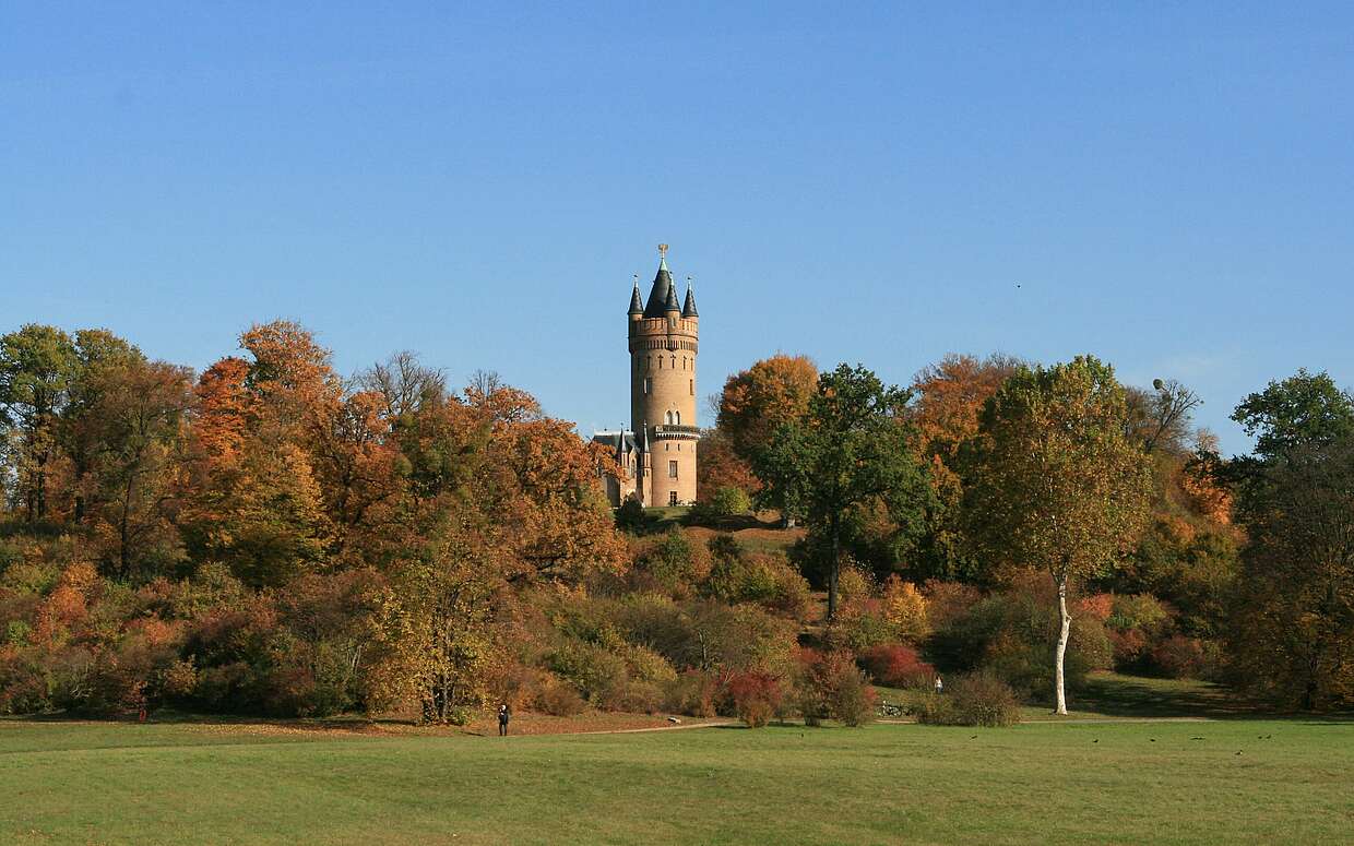Der Flatowturm im Park Babelsberg