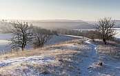 Barnimer Land