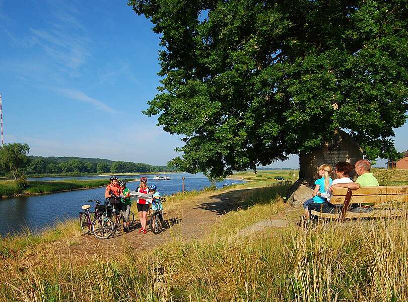 Radler an der Elbe bei Lenzen