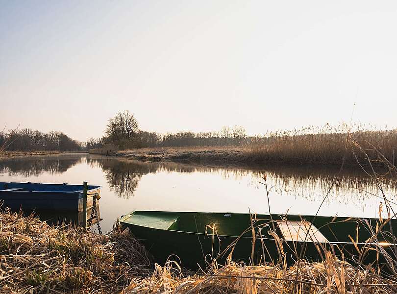 Morgenstimmung an der Müggelspree