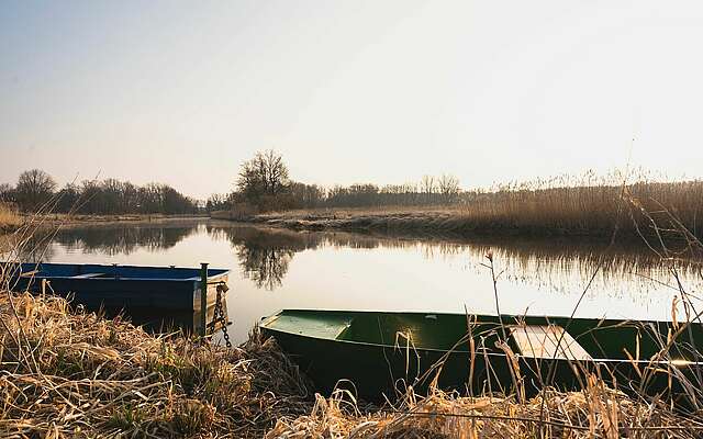 Morgenstimmung an der Müggelspree