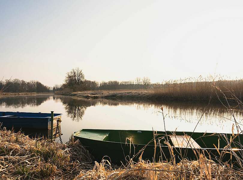 Morgenstimmung an der Müggelspree