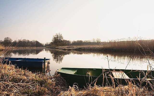Morgenstimmung an der Müggelspree