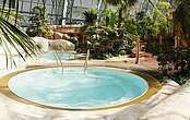 Wellness & waterparks