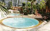 Wellness & waterparks
