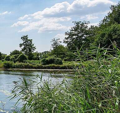 Boot auf dem Finowkanal in Liebenwalde