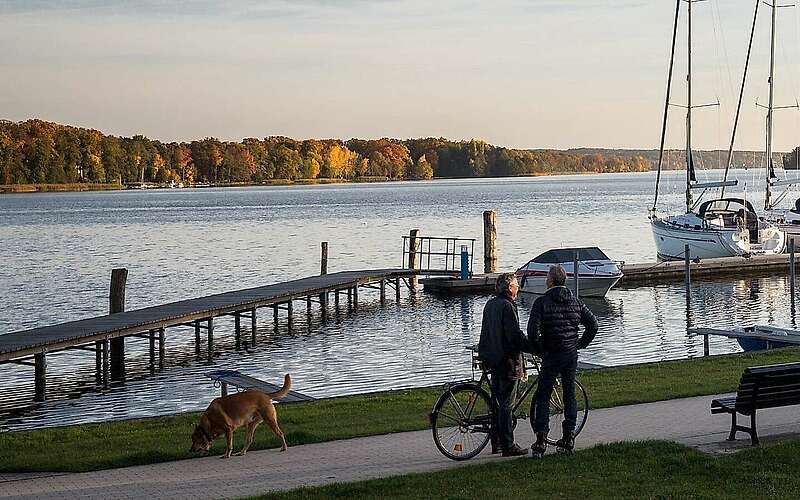 



    
        
                Hafen Bad Saarow,
            
        
                Picture: TMB Tourismus-Marketing Brandenburg GmbH/Yorck Maecke
            
    
