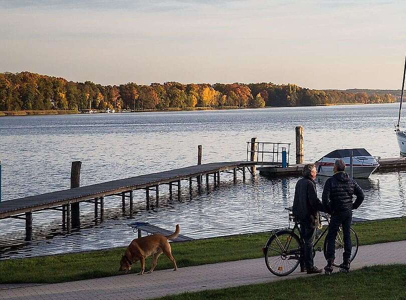 Hafen Bad Saarow