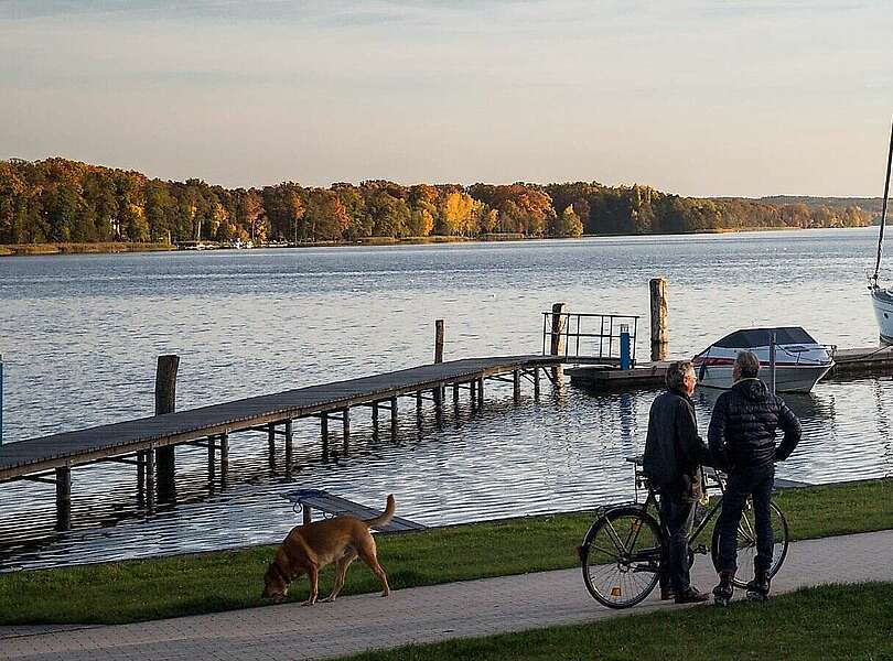Hafen Bad Saarow