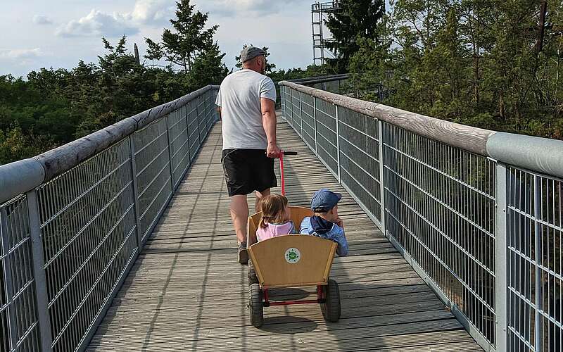 



    
        
                Unterwegs auf dem Baumkronenpfad,
            
        
                Picture: TMB Tourismus-Marketing Brandenburg GmbH/Antje Tischer
            
    
