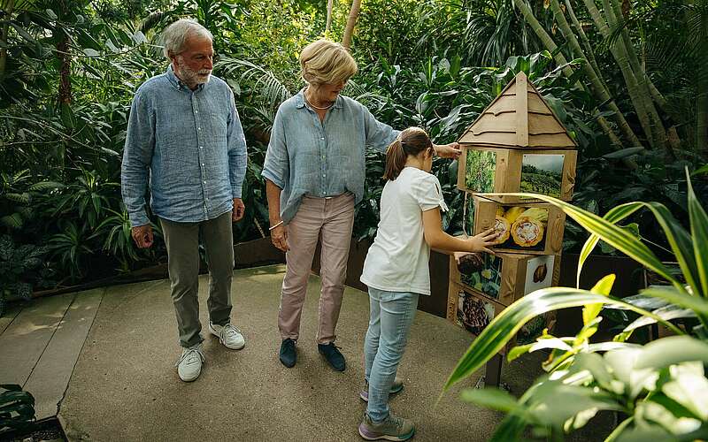 



    
        
                Biosphäre Potsdam,
            
        
                Picture: TMB Tourismus-Marketing Brandenburg GmbH/Julia Nimke
            
    
