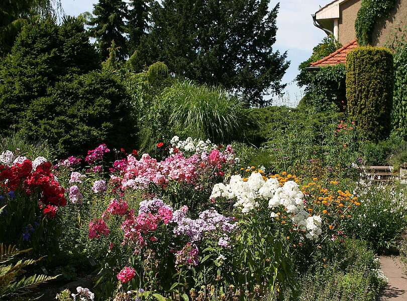 Karl-Foerster-Garten