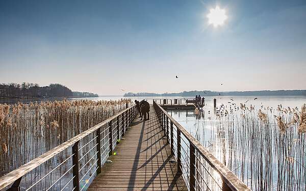 Steg am Scharmützelsee
