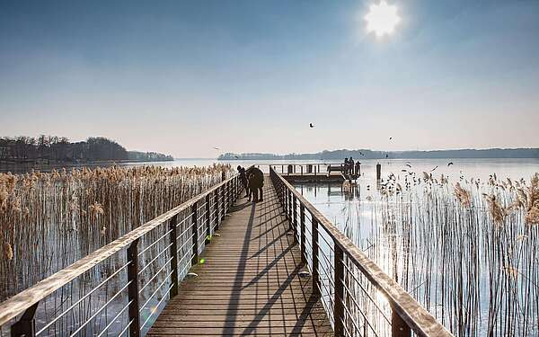 Steg am Scharmützelsee