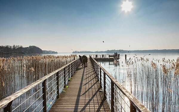 Steg am Scharmützelsee