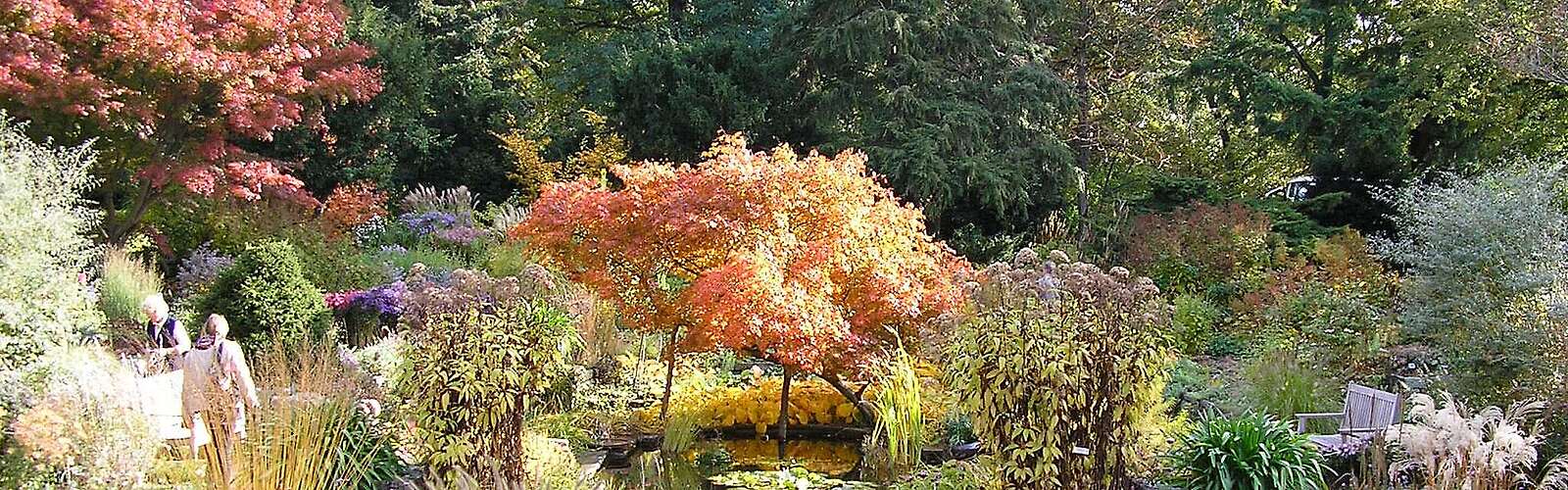 Karl-Foerster-Garten in Bornim