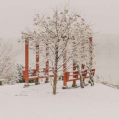 Ein Pächen geht im Chinesischen Garten spazieren. Im Hintergrund steht eine rote Pergola direkt am Ufer eines Sees und ist von schneebedeckter Landschaft umgeben ist