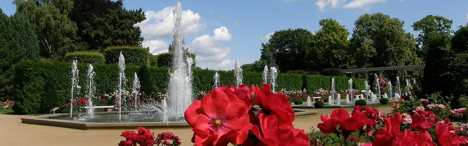 Ostdeutscher Rosengarten in Forst (Lausitz),
            
        
                Picture: Stadt Forst (Lausitz)/Annette Schild