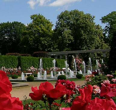 Day trip to the East German Rose Garden Forst (Lausitz)