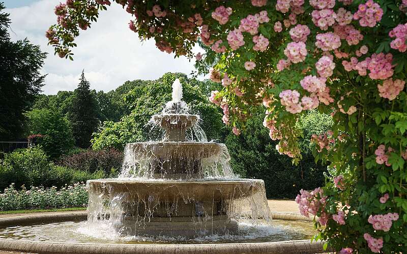 Oberlausitzer Rosengarten