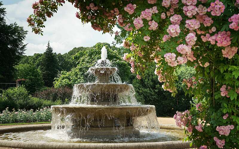 



    
        
                Oberlausitzer Rosengarten,
            
        
                Picture: TMB Tourismus-Marketing Brandenburg GmbH/Yorck Maecke
            
    
